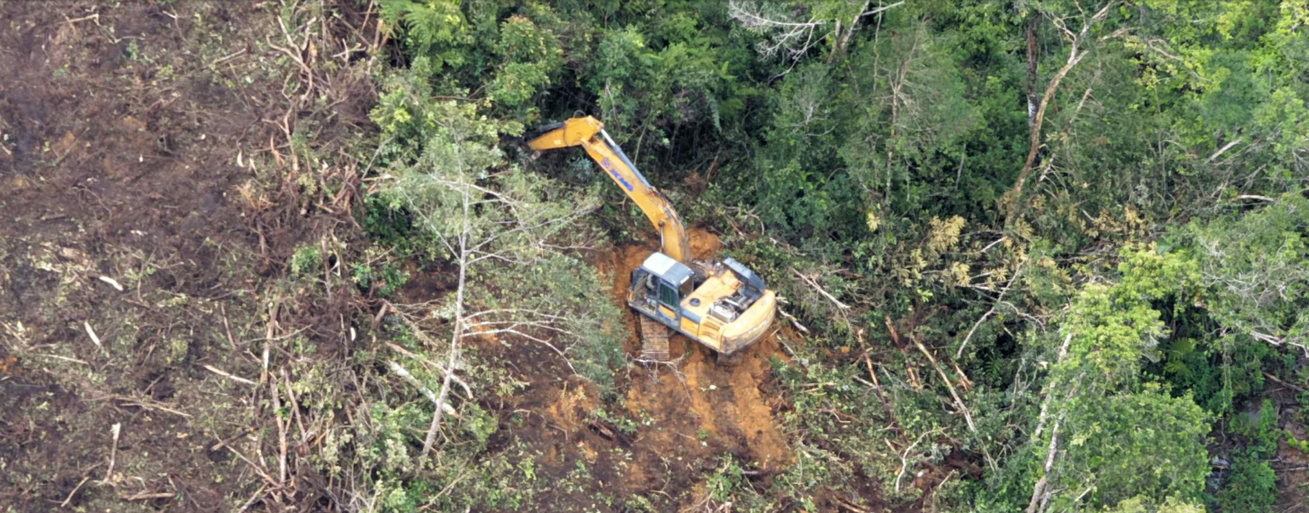 Dugaan Keterhubungan TPL dengan Bencana Ekologis di Sumatera Utara