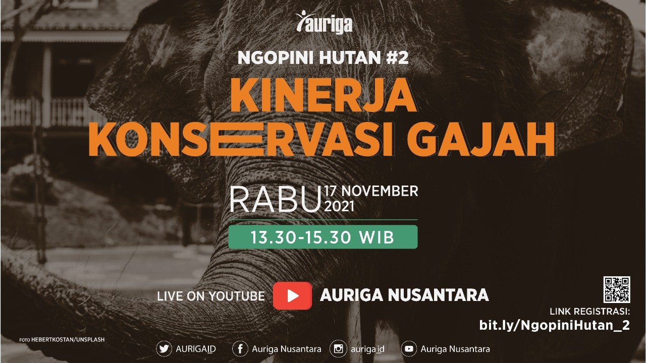 Kinerja Konservasi Gajah