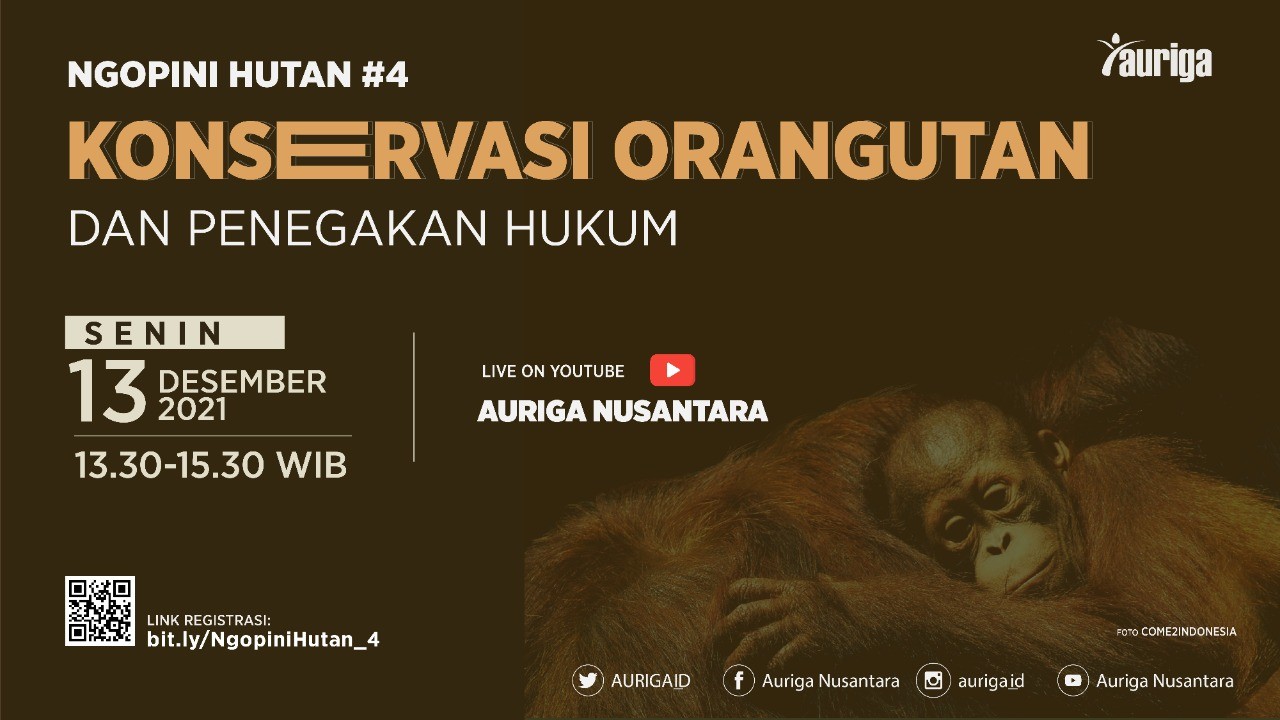 Konservasi Orangutan dan Penegakan Hukum